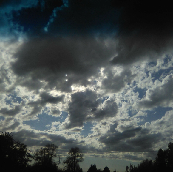 Not 4 Sale - Picture 2 of 16